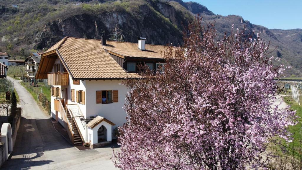 Versigglhof Eppan an der Weinstraße Eksteriør billede