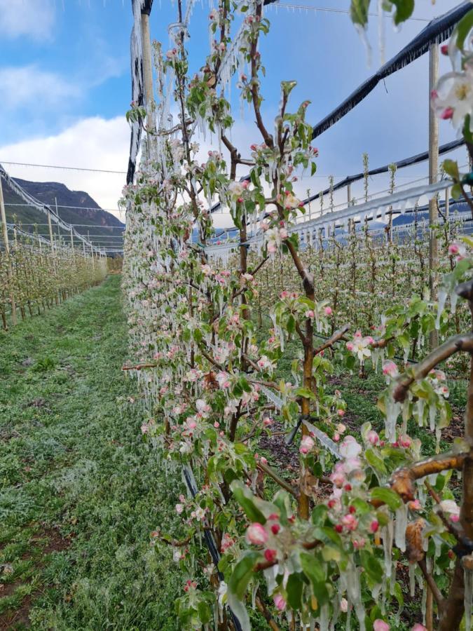 Versigglhof Eppan an der Weinstraße Eksteriør billede